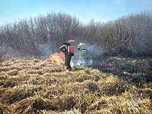 Силы МЧС Удмуртии переведены на усиленный режим из-за участившихся природных пожаров