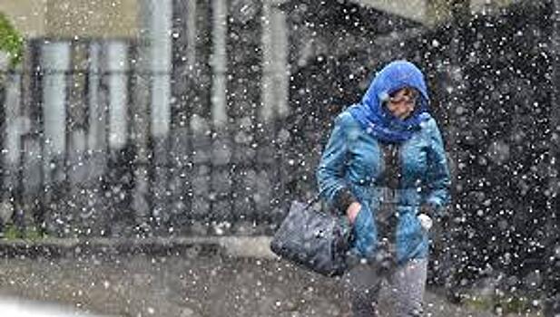 До 4 см снега может выпасть в Москве