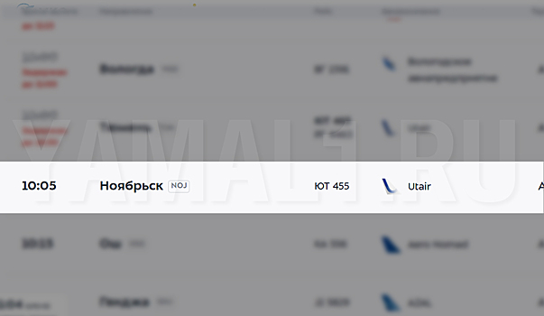 Самолет из Москвы в Ноябрьск вылетел с двухчасовым опозданием из-за закрытого неба
