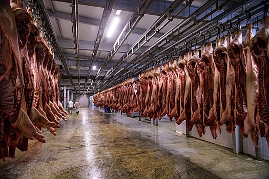Производство свинины в РФ за минувший год выросло на 5% - Ковалёв