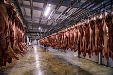 Россия начнёт поставки свинины в Китай &ndash; Ковалёв