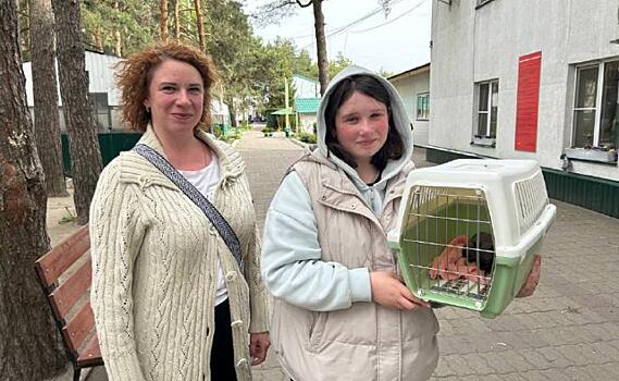 Александр Хинштейн подарил кота-сфинкса девочке из Суджи