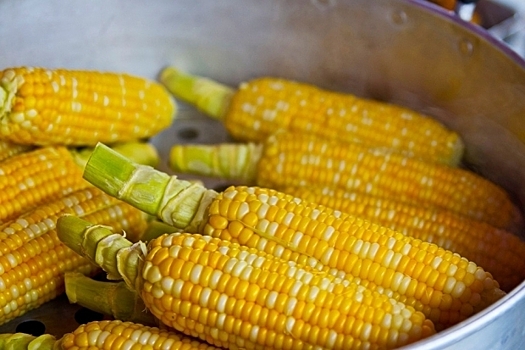 В Волгоградской области проверили свыше 15 тысяч тонн кукурузы на экспорт