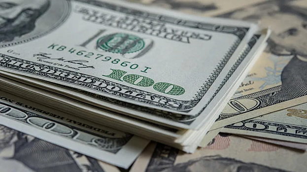 Эксперт дала прогноз на курс доллара на новогодних праздниках