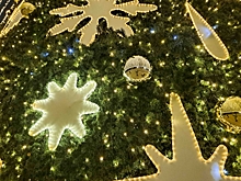 Рязань торжественно попрощается со званием Новогодней столицы России: где и когда