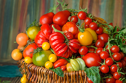 Топ-10 новых оригинальных американских томатов от известного российского селекционера Любови Мязиной