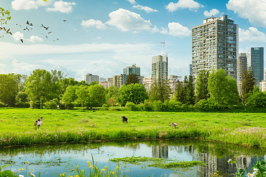 Уникальная разработка ПГУ: система оценки здоровья человека с экологическими факторами