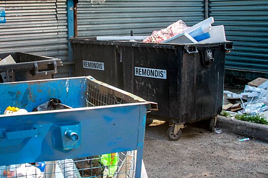 Проблема мусора во дворах остается одной из самых актуальных в Подмосковье