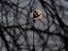 Кровавая Луна и противостояние Марса: обзор самых ярких астрономических явлений, которые калининградцы смогут увидеть в этом году