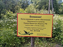 Выше ели
