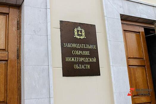 Нижегородский бюджет на три года одобрили семь комитетов областного парламента