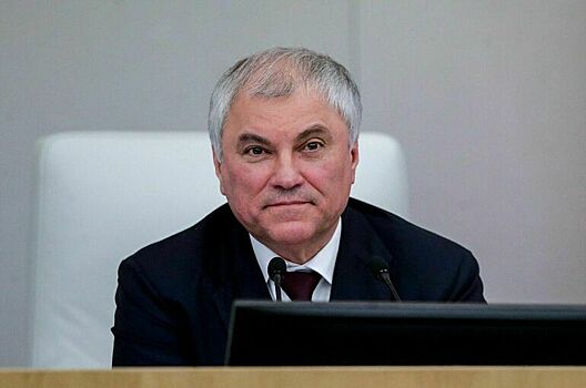 Володин посоветовал вспоминать матерей каждый день, а не только на праздник