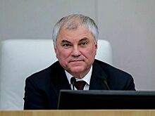 Володин посоветовал вспоминать матерей каждый день, а не только на праздник