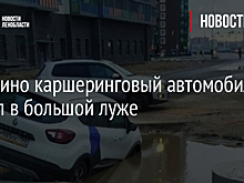 В Мурино каршеринговый автомобиль утонул в большой луже