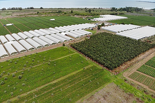 Какие вопросы аграрного сектора в эти дни на контроле у Лукашенко