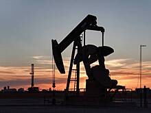 Ценам на нефть предсказали резкое падение
