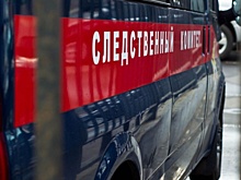 СК проверит, как пермский стрелок получил разрешение на охотничье ружье