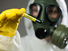 Вирус птичьего гриппа опасно мутировал