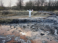 В Новосибирске возбудили уголовное дело в отношении главы картонно-бумажного комбината за вред природе