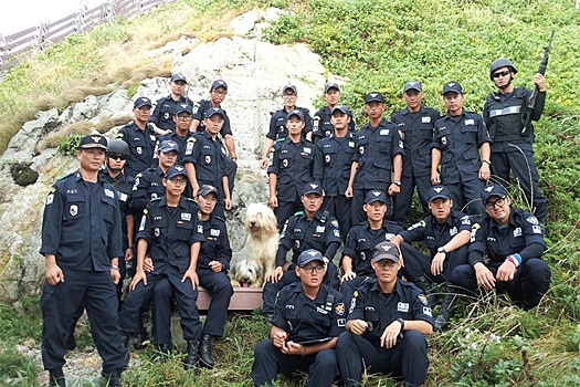 С корейского архипелага Токто пропал национальный символ - собака, изгоняющая духов