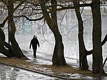 Москвичам рассказали о погоде в начале весны