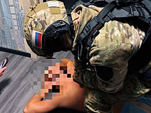 Полиция Приморья расследует серию афер на 130 млн рублей при продаже японских авто через аукционы