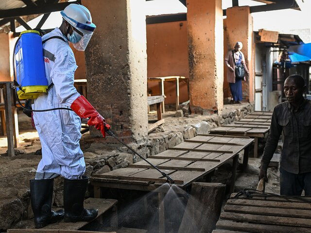 Число предполагаемых жертв вспышки Эболы в ДР Конго превысило 200 человек