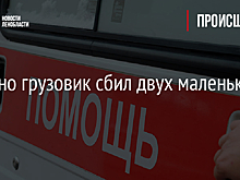 В Янино грузовик сбил двух маленьких детей