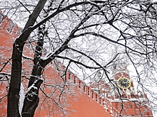 Историк оценил идею Лебедева покрасить Кремль в белый цвет