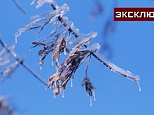 Метеоролог: первые теплые дни придут в Москву на выходных