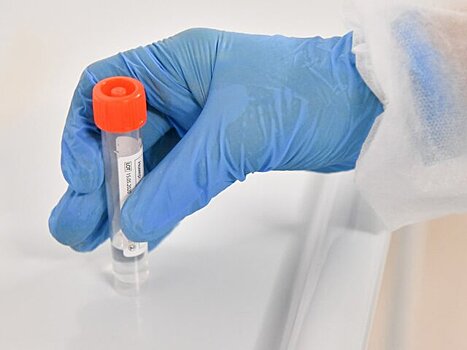 Свиной грипп выявлен во всех регионах РФ