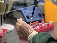 В Чечне за сутки не выявили ни одного случая заболевания коронавирусом