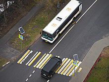 В Подмосковье планируют ввести единую цветовую гамму для автобусов и маршруток