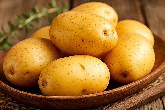 Калининградские фермеры не досчитались 30% урожая картофеля