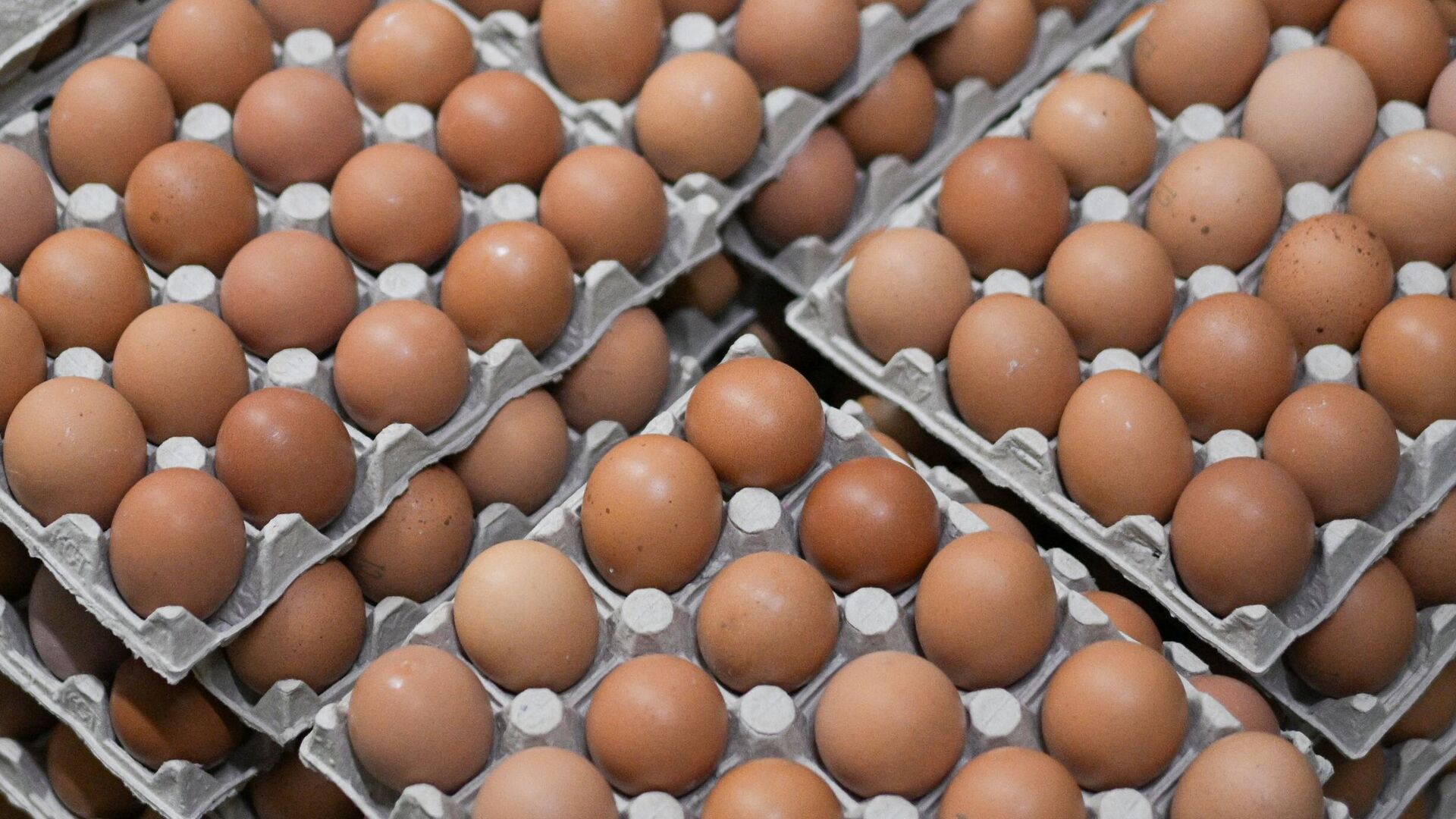 Задавшая вопрос Путину жительница Краснодара сообщила о падении цен на яйца