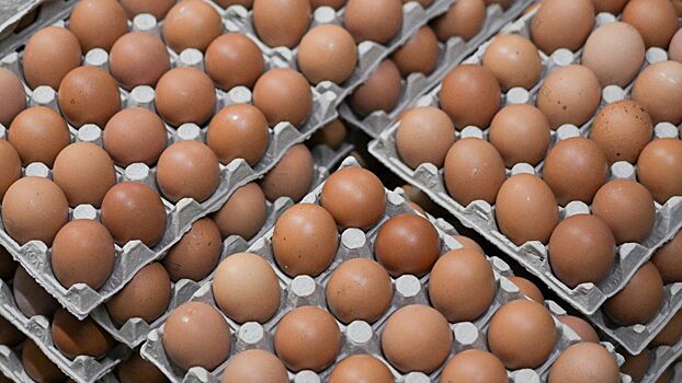 В России обнулили пошлины на ввоз яиц из-за рубежа