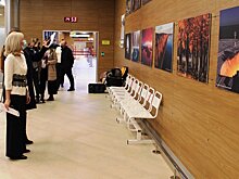 Уникальная фотовыставка о России открылась в залах аэропорта «Петрозаводск»