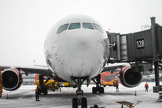Усиленные меры безопасности в московских аэропортах создали трудности для обслуживания самолетов