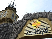 Москвичей научат ухаживать за морскими котиками