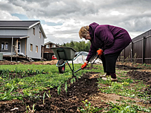 В России могут продлить дачную амнистию еще на несколько лет