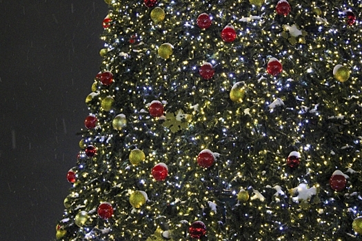 Стало известно, как украсят Хабаровск к Новому году