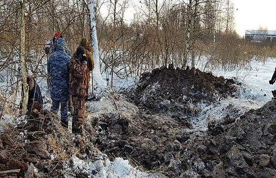 В Тюмени задержан убийца бизнесмена, тело которого обнаружили в лесу