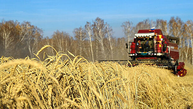 Ливия купит у России миллион тонн пшеницы