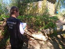 Костромской лес год не могут очистить от ветровалов