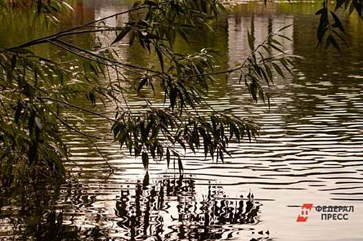 На федеральном канале показали фильм про Зауралье