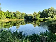 Пора на дачу!: стало известно, когда в Самаре пустят дачные автобусы