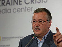 "Украинский мейнстрим". Эксперт о призыве Гриценко к терактам в России