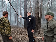 Огненный фронт: на борьбу с лесным пожаром в Воротынском районе брошены все силы