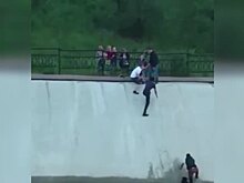 Алматинцы спасли собаку, упавшую в Сайран