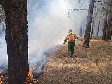 В Красноярском крае зафиксировано три лесных пожара